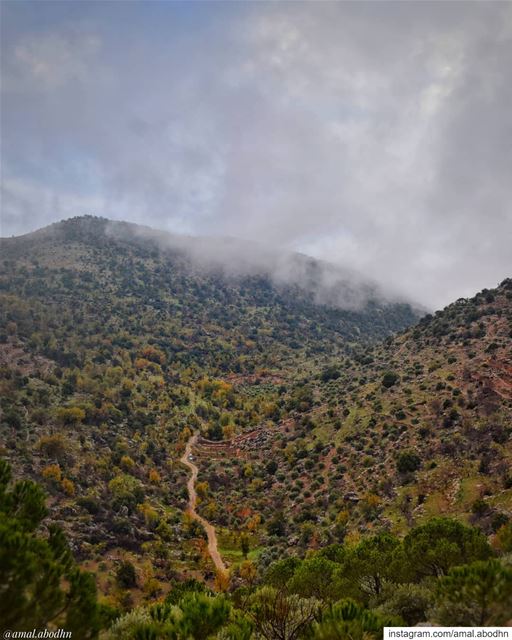 • لا تخسر نفسك • ... lebanon  photography  photographylovers ... (Chebaâ, Al Janub, Lebanon)