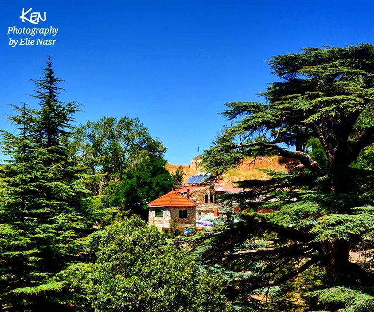 ...لا تقولي وداعاليس في الحب من رحيلانزليه الذراع واهدئي يا غرامي العني (The Cedars of Lebanon)