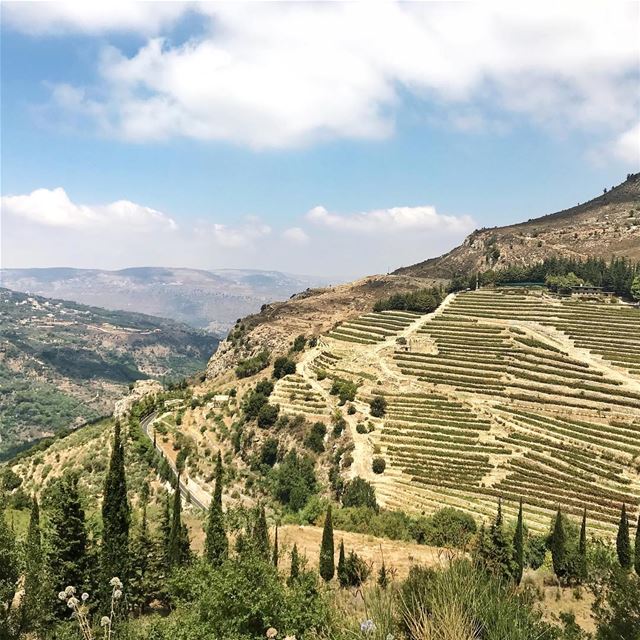 •لبنان الأخضر••• Lebanon  لبنان  landscape  green  exklusive_shot  ... (Jezzîne, Al Janub, Lebanon)