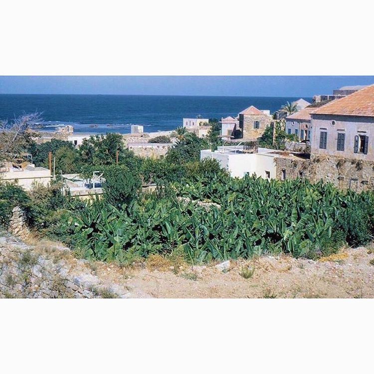 لبنان  جبيل عام ١٩٦٣ 