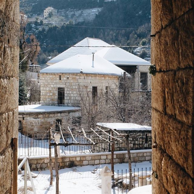 "لبنان يا أبيض حلو"  douma  livelovedouma  livelovelebanon ... (Douma, Liban-Nord, Lebanon)