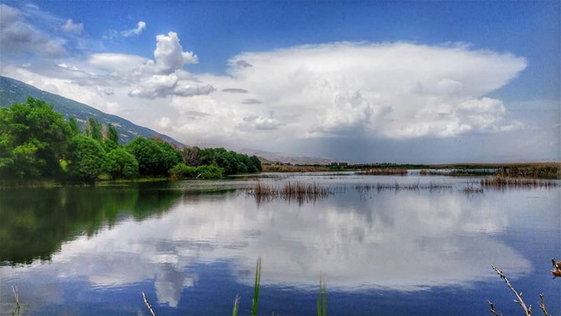 لبنان يا قطعة ســـــما  عالارض تاني ما ألهالوحات الله راسمها  شطحات احلى م (`Ammiq, Béqaa, Lebanon)