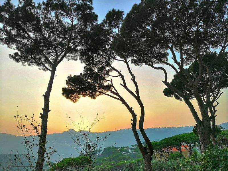... لبنان 🇱🇧