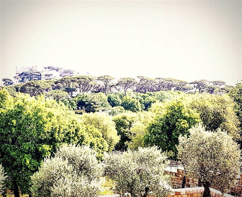  لبنان_الأخضر_لبنان  حليانة_الدنيي_حليانة  بلبنان_الاخضر  enjoyingtheview... (Beit Meri, Mont-Liban, Lebanon)