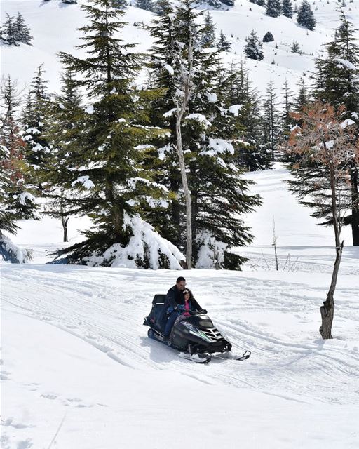 لحظة سعادة  lebanon  livelovelebanon  beirut  livelovebeirut  snow ... (Cedars of God)