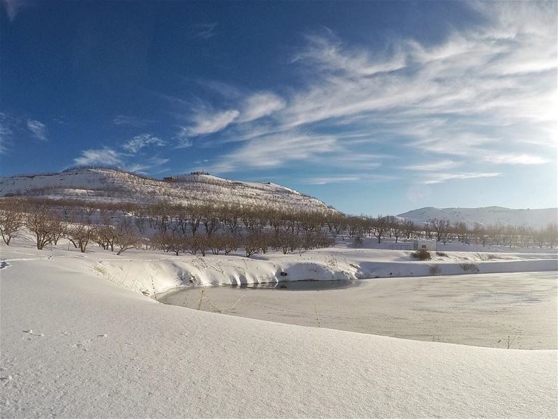 للملوك فقط  cedars  arz  sky  clouds  icylake  snow  nature  coldweather ... (Ehden, Lebanon)