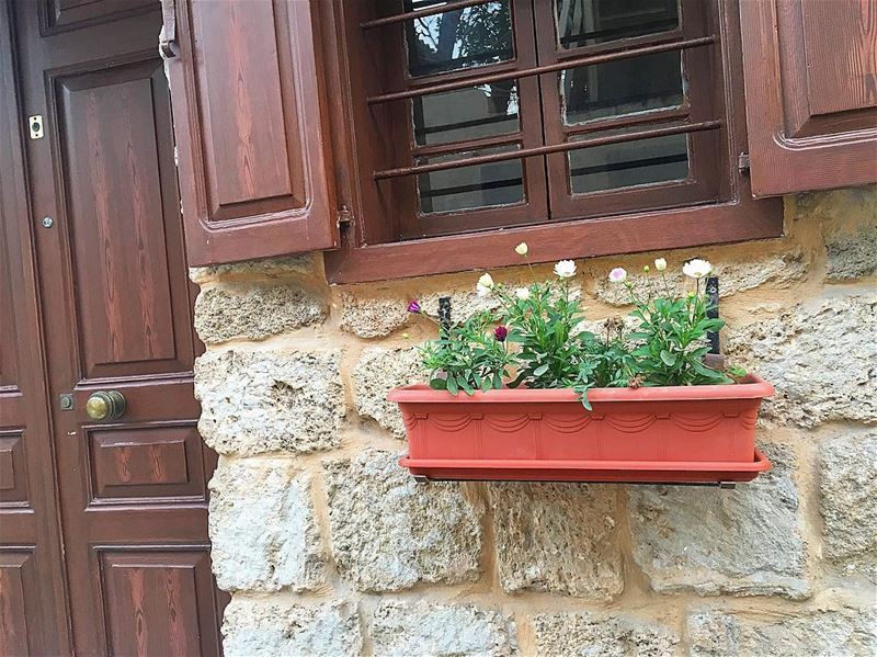 لما كنّا ولاد زغار كتبتلك إسمك مرة، وحفرتو عباب الدار وزرعنا وردة حمرا.. قل (Tyre, Lebanon)