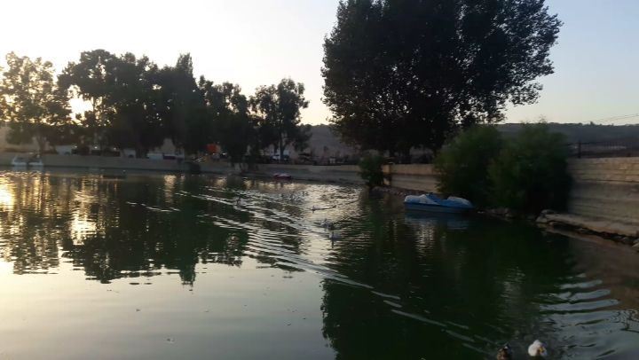 لما يجو الوزات من اخر الدردارة على الاكل 😂😍 south  lebanon  lake ... (Al Khiyam, Al Janub, Lebanon)