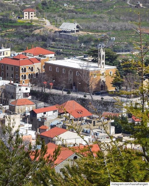 لن تكتشف شيئاً بما اعتدنا من لغات، وعسانا نكون "في السكوت" لكي تثمر البساتي (Ehden, Lebanon)