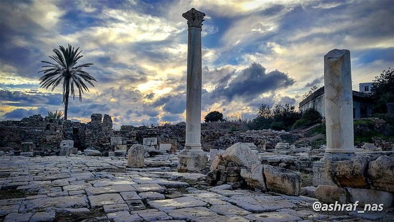 لو تعلمينَ بما أُجنُ من الهوىلعذرتِ أو لظلمتِ إن لم تعذر...لا تحسبِ أني ه (Roman ruins in Tyre)