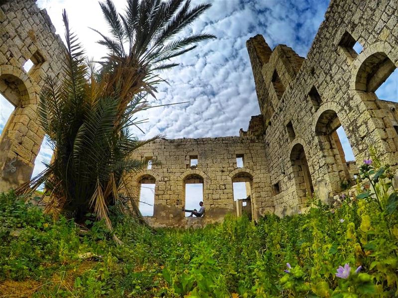 لو شباكك ع شباكي mothernature  nature  beauty  landscape  green ... (Damour, Lebanon)