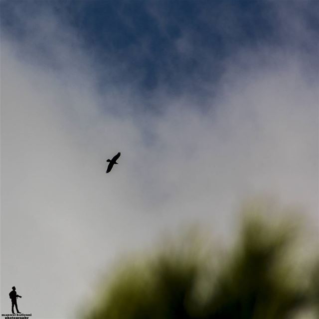 لو فينا نهرب ونطير... صباح الخير  goodmorning  bird  sky  chouf jbaa...