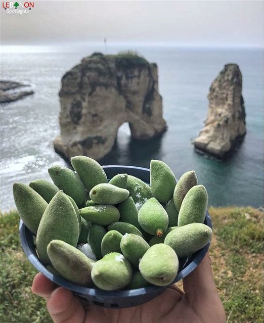  لوز_فرك Yes or No?By @lebanonspotlights  Rawché  Rawshe  Beyrouth ... (Raouche Rock , Beirut , Lebanon)