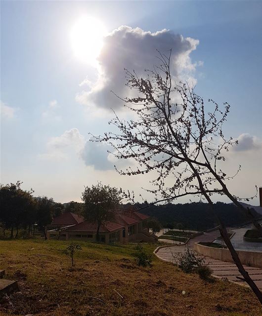 ليس كل ما يلمع ذهبا.....  ig_lebanon  insta_lebanon  insta_jezzine ...