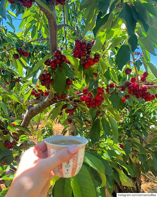 ما احس اني بخير الا بس كون معك 🍒☕️.. ramramcoffee  turkishcoffee  ... (Lebanon)