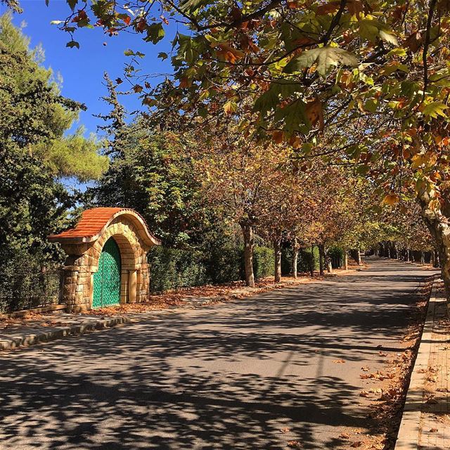 ،ما حدا يعرف بمطرحناغير السما و ورق تشرين 🍂🍁 livelovesawfar  october ... (Cornish Sawfar)