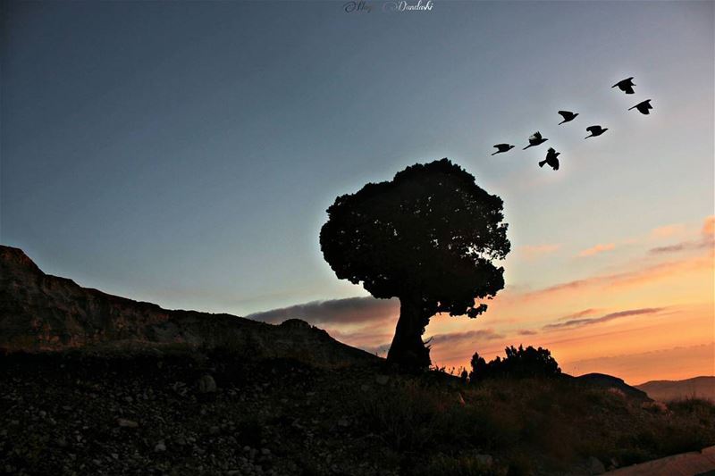 ما زلتُ هنا ..💜hayadandashi all copy rights reserved©2017... (سد بريصا)