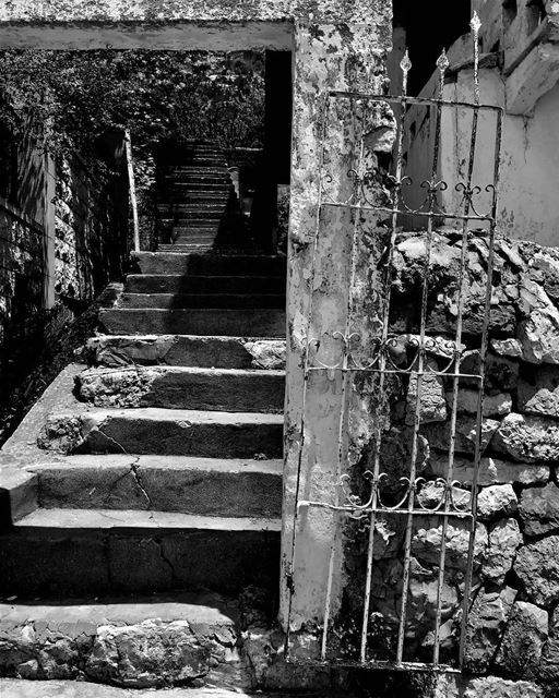 ما عاد بدكن ترجعوا؟  لبنان  اهدن  تصوير  تصويري  karamfayadphotography ... (Ehden, Lebanon)