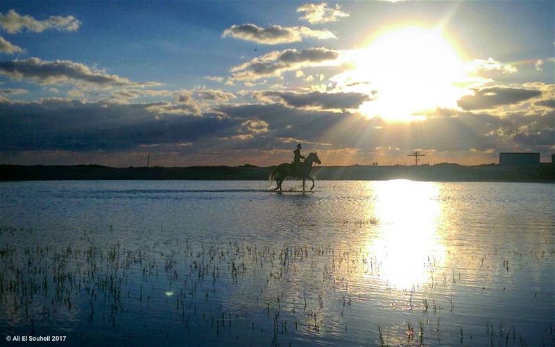 ما كل من يركب على الخيل خيال ولا كلّ خيل تعجبك  هي أصيله  today  sunset ... (Tyre Beach)