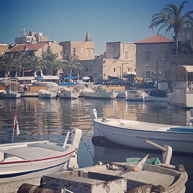 ما لح غنيلكن "هيلا يا واسع...هيلا هيلا هيلا..مركبك راجع" اي ما بدي... (Tyre, Lebanon)