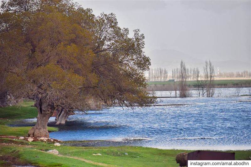 متى اتسعَ نطاقُ محبتِكَ اتسعَ نطاقُ الجمالِ في حياتِكَ... .... lebanon... (Beqaa Valley)