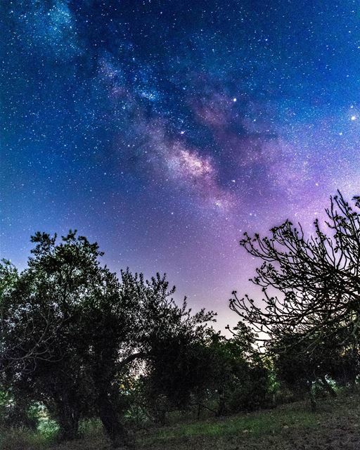 مجرة درب التبانة من سماء حومين الفوقا  milkyway  stars  night ...