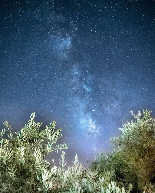 مجرة درب التبانة من سماء  حومين_الفوقا  milkyway  sky  nightphotography ...