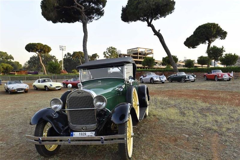 مجموعة سيارات قديمة (📸"لبنان 24"). Lebanon  Lebanese  insta_lebanon ...