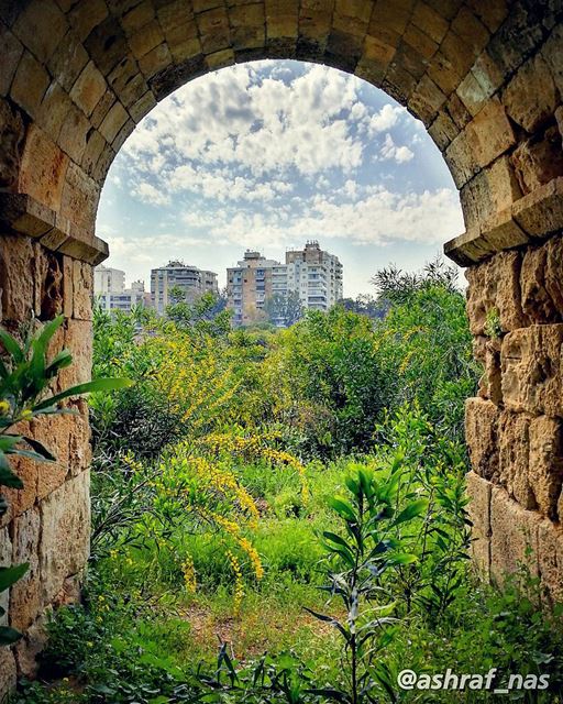 مدينة صور بين الماضي والحاضر livelovetyre  ig_lebanon  livelovebeirut ... (Roman ruins in Tyre)