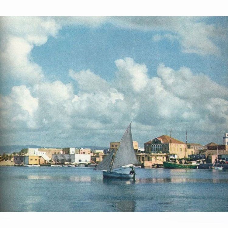 مرفأ  صور عام ١٩٦٧ ، Tyre Port