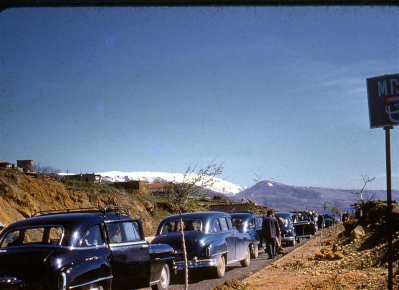 مريجات البقاع ١٩٥٤ ،  Mrayjat Bekaa 1954