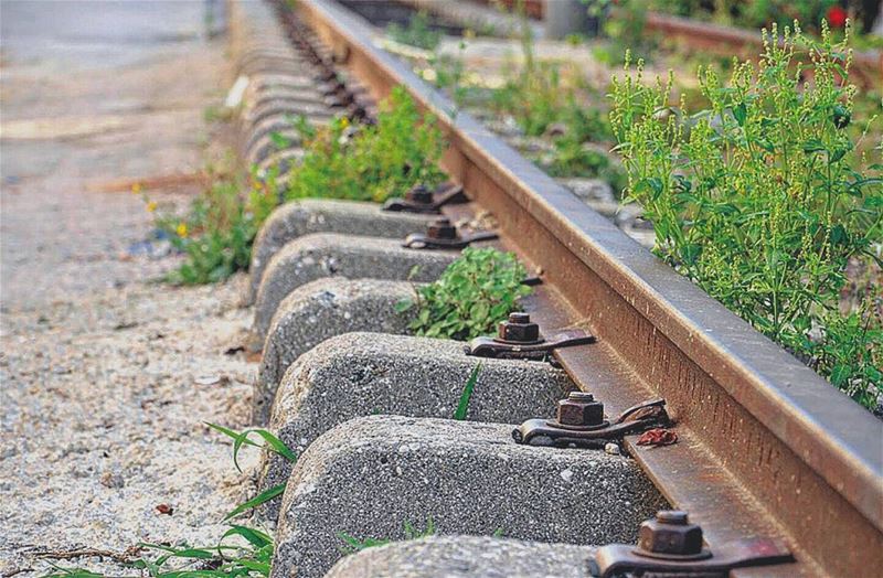 مشوار رايحين مشوار .. 🚂_______________________________________ lebanon ...