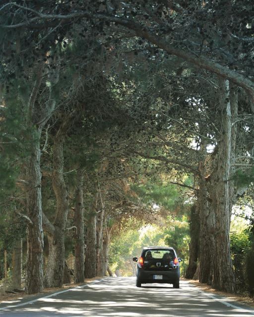 مشوار رايحين مشوار...  lebanon  lebanon_hdr  ig_lebanon  insta_lebanon ... (الناقورة / Al Naqoura)