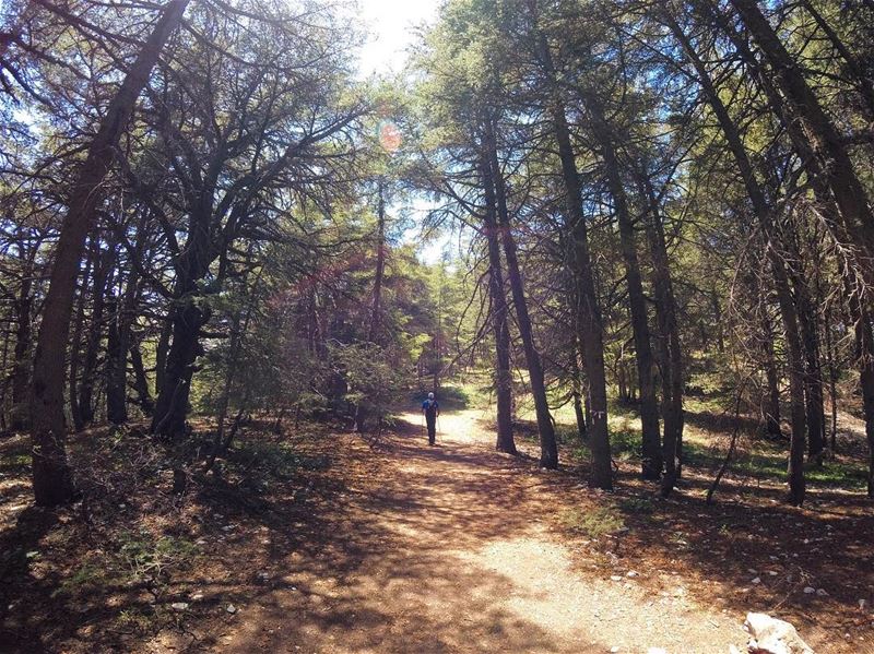 مشوار مع مغوار 💪🇱🇧 lebanon  lebanon_hdr  gopro  goprolife ... (Al Shouf Cedar Nature Reserve)