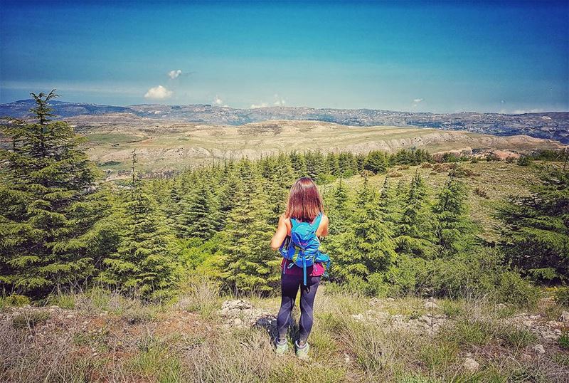  مشوار_مع_مغوار 🇱🇧  cedars  natureloversgallery  naturephotography ... (Al Shouf Cedar Nature Reserve)