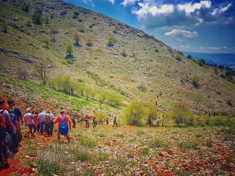  مشوار_مع_مغوار 🇱🇧  cedars  natureloversgallery  naturephotography ... (Arz el Bâroûk)