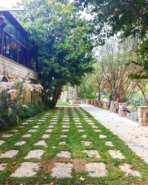 من أجواء نهر الكلب ... nahrelkalb  keserwan  Lebanon   nature  beauty ...