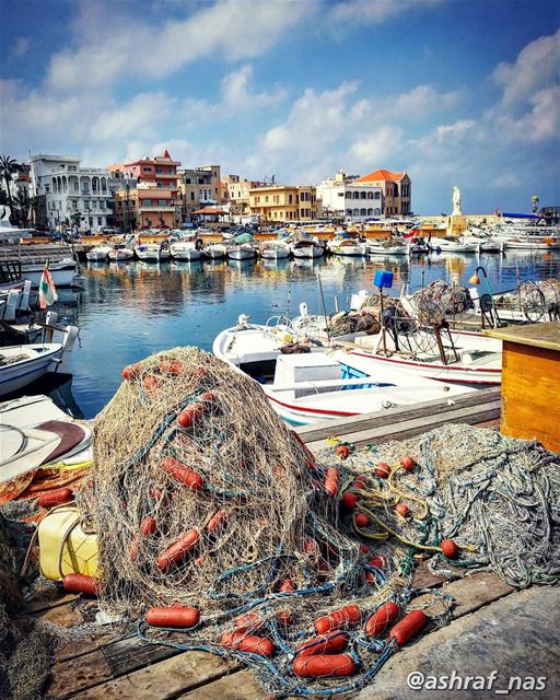 من إيدين الفقرا وشباك الصيادينجايي الحرية...ومن الشمس المحفورة بعيون المظ (Tyre Fishermen Port.)