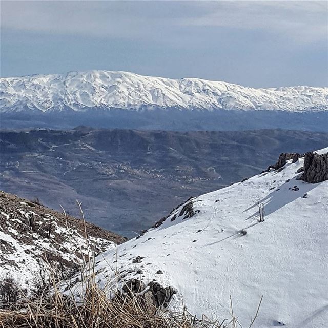 .من السلسة الغربية 🗻إلى السلسلة الشرقية 🗻ألف تحية وتحية 👋🏻....... (Maaser El Shouf Cedar Reserve محمية ارز معاصر الشوف)