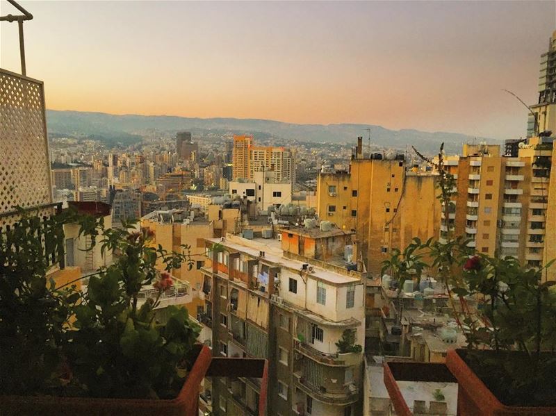 من ع شي سطح من هلسطوح 🌇🌇 From a Beirut rooftop ... goodmorning ...