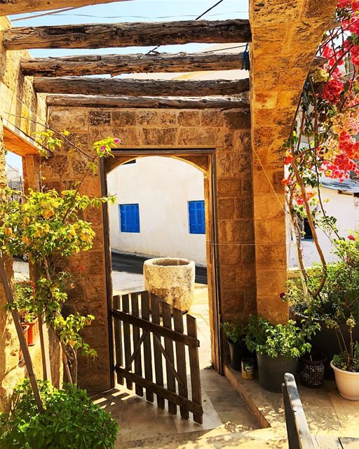 منودع زمان و منروح لزمان  ينسانا عا ارض النسيان  meetlebanon ... (Anfeh Al-Koura أنفه الكورة)