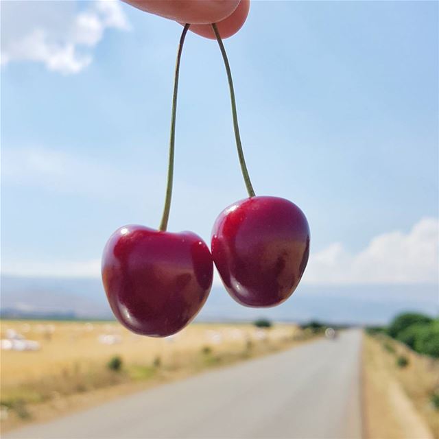 موسم الكرز 🍒 livelovebeirut  mylebanon🇱🇧 (Beqaa Valley)