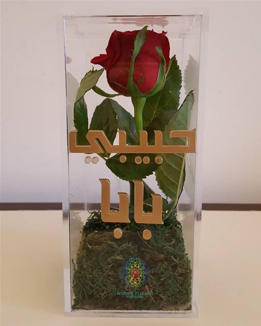مين حبيب  بابا ؟Single  rose  plexibox for 20$ !Wish for yours now:...