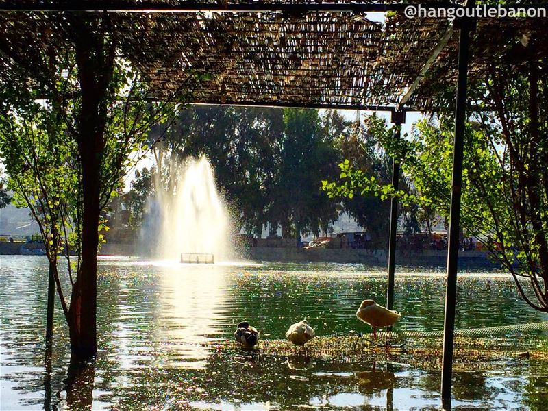 نبع الدّردارة الخيامIn the middle of  AlKhiam plain, this spring reveals ... (Dardara - Khiam)