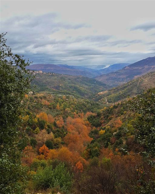 نحتاج أحيانا إلى الوصول للقاع قبل ان نرى طريق النجاة 👌📷 🍃 🌳  جزين  لبنا (Jezzîne, Al Janub, Lebanon)