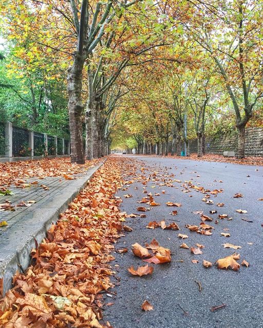 نحنا لنا ورق الخريف🍂الي عم بيذهّب مراكب الرصيف🍁 livelovelebanon ... (لبنان كورنيش صوفر)