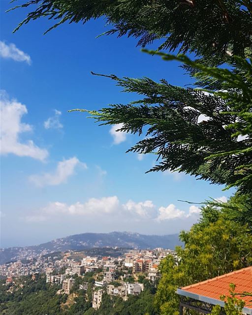 نسيمك عنبر ... وأرضك سكر ... وقلبك أخضر! ... وإنّي طفل هواك على حضنك الحلو... (Aley)