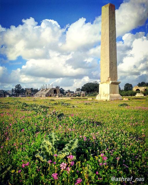 نطرتك أنا... ندهتك أنارسمتك على المشاوير...يا هم العمر... يا دمع الزهريا (Roman ruins in Tyre)