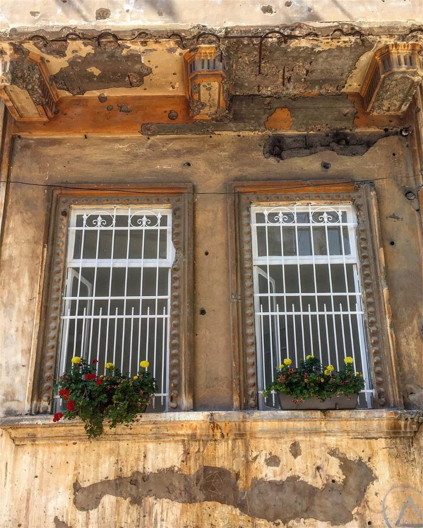 نطّرني نطّرني نطّرني عالشباك 🤔....... windows  oldarchitecture ... (Beirut, Lebanon)
