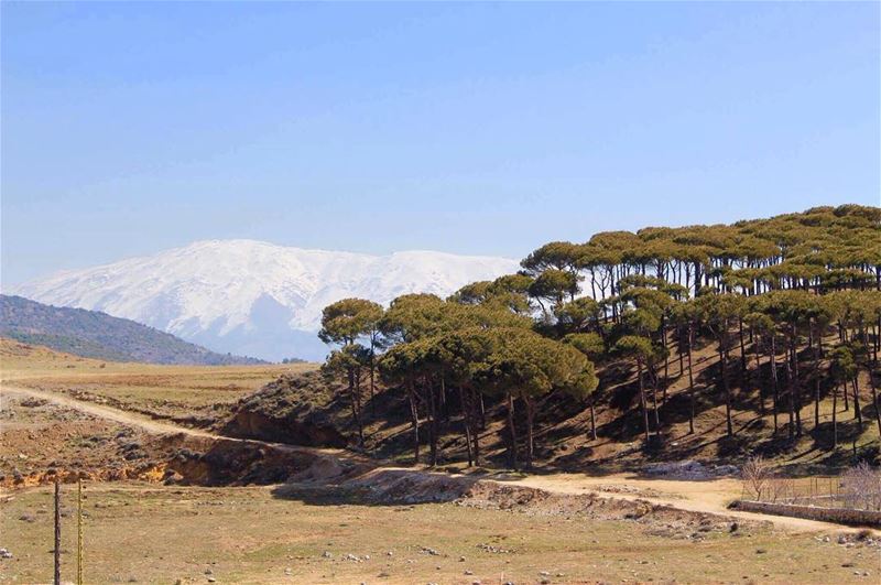 نقيها بلون المرمر و حكايات النار و تراب الجرد الاسمر و التلج الختيار و من س (`Aramtá, Al Janub, Lebanon)